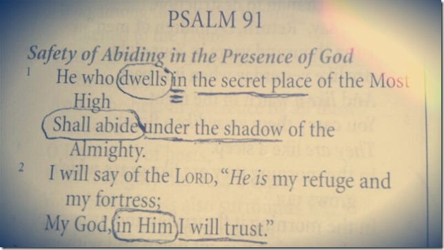 20130930_110102-1_20130930110219750 (2)