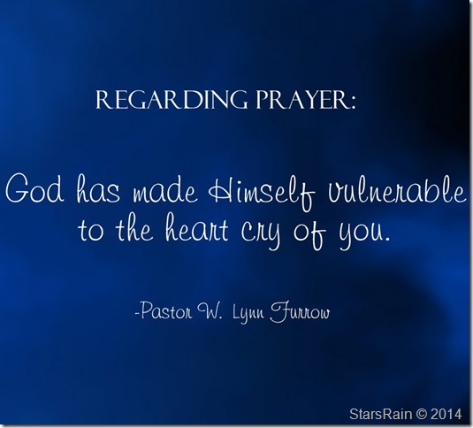 blue-dove-black-paper-002