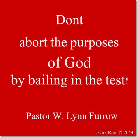 square-of-flexible-red-paper-002