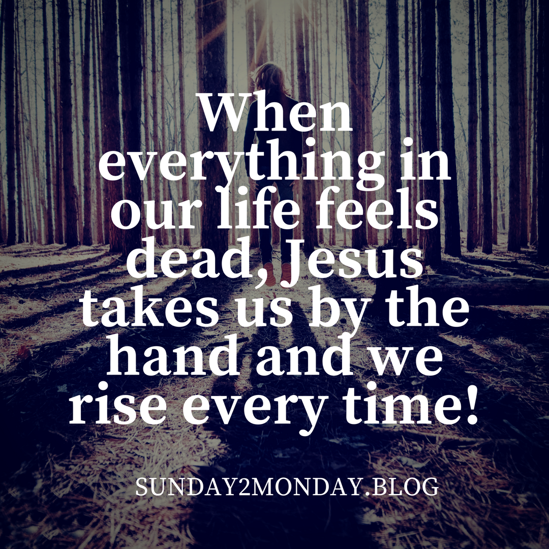 When everything in our life feels dead, Jesus takes us by the hand and we rise every time!