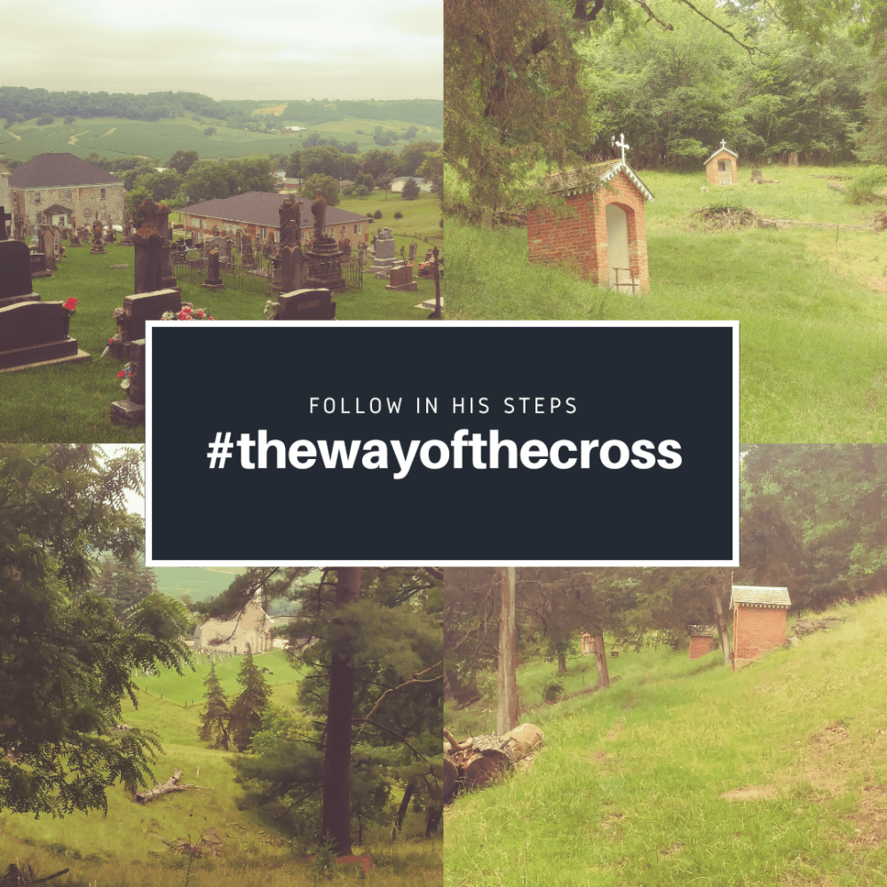 35497194_10216464462515189_1861019405350076416_n (1)