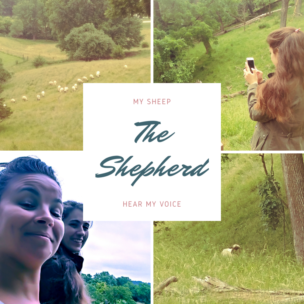 35731508_10216464830244382_6072410009319243776_n