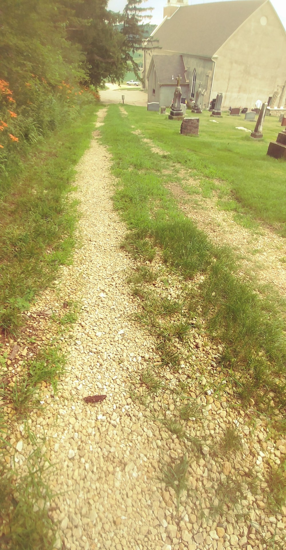 35773912_10216464463995226_4358485790678843392_n