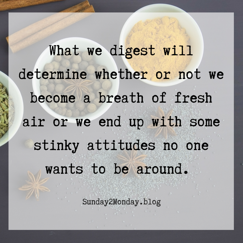 what we digest will determine whether or not we become a breath of fresh air or we have stinky attitudes and actions that no one wants to be around. Add subheading