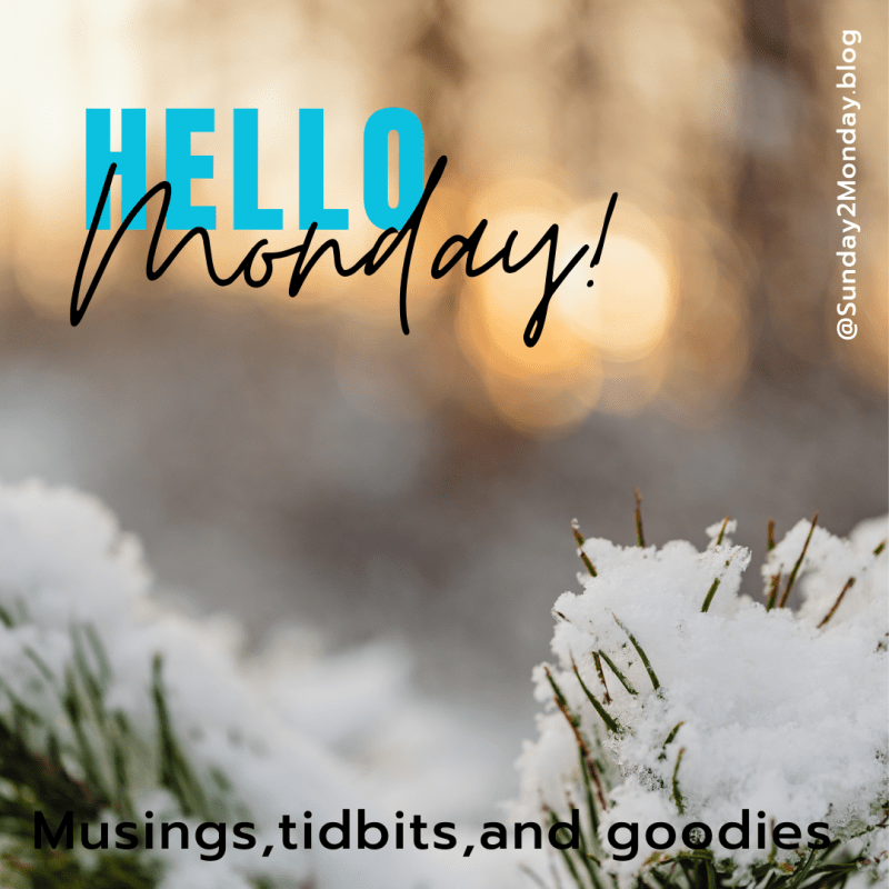 Hello Monday #102 – January Wrap up
